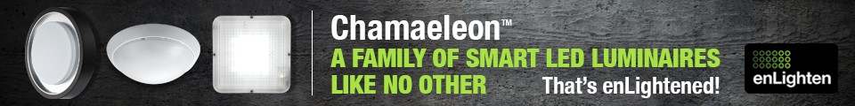 chamaeleon-family.jpg